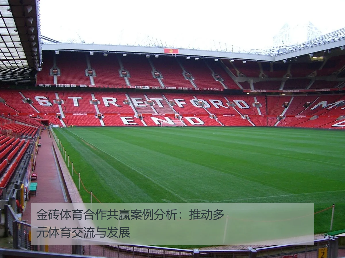 金砖体育合作共赢案例分析：推动多元体育交流与发展